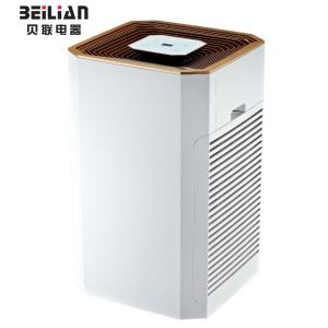 Air purifikateur ak dirije