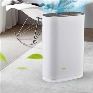 BKJ-300 lè purifikateur ka ede retire alèjèn ak irite