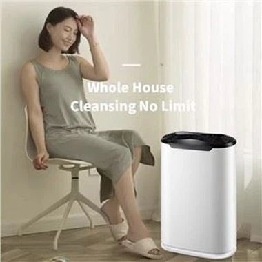 BKJ-215 220 CADR Kay Air Purifier Filtre konbine