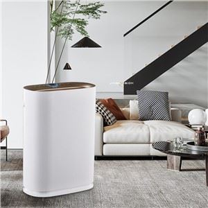 BKJ-300 Tuya APP Wifi Smart Control Air Purifier