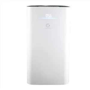 Gwo Zòn efikas kanpe lè purifier