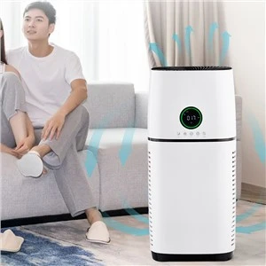 BKJ-500 Chanm OEM kanpe lè purifikateur 500CADR