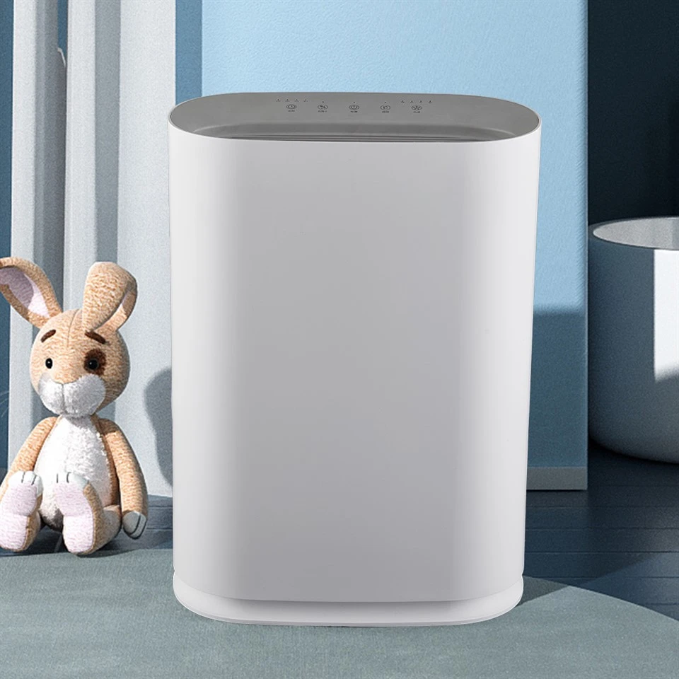 BKJ-300H Healthy Care Air Purifier