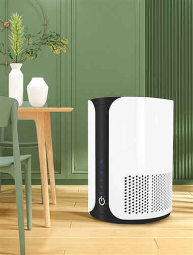 BKJ-15 MINI chanm lè purifikateur