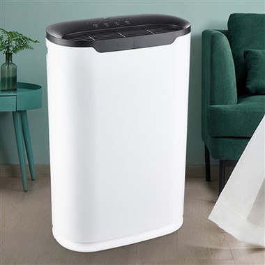 BKJ-215B lè purifikateur pou itilize lakay ou