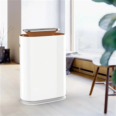 BKJ-300 Minimman Customized Kay Air Purifier