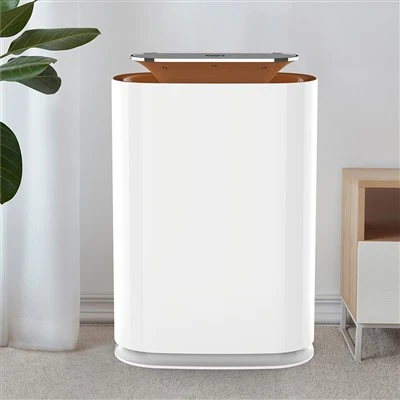 BKJ-300A Smart Kay Air purifikateur ak ekspozisyon bon jan kalite lè
