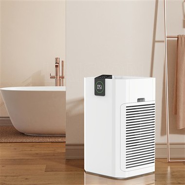 Bkj -80 yon faktori an gwo kay gwo purifikateur lè